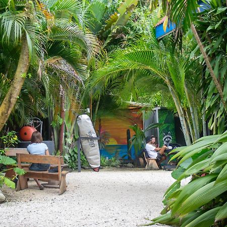 Surf Paradise Playa Santa Teresa  Exterior photo