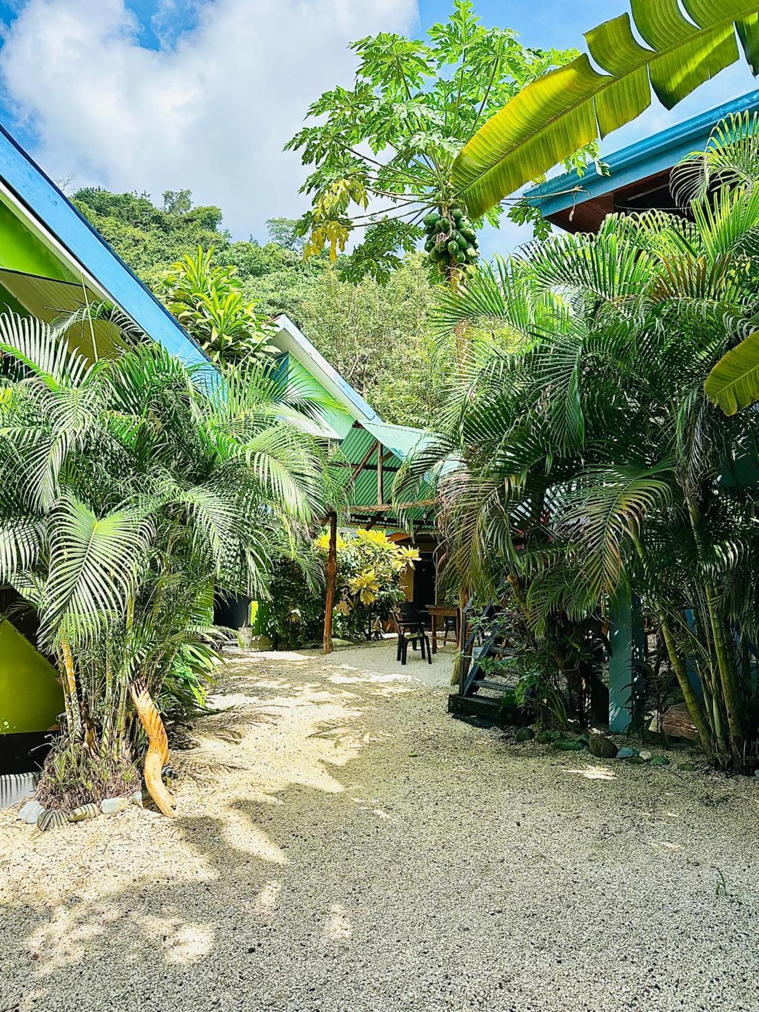 Surf Paradise Playa Santa Teresa  Exterior photo