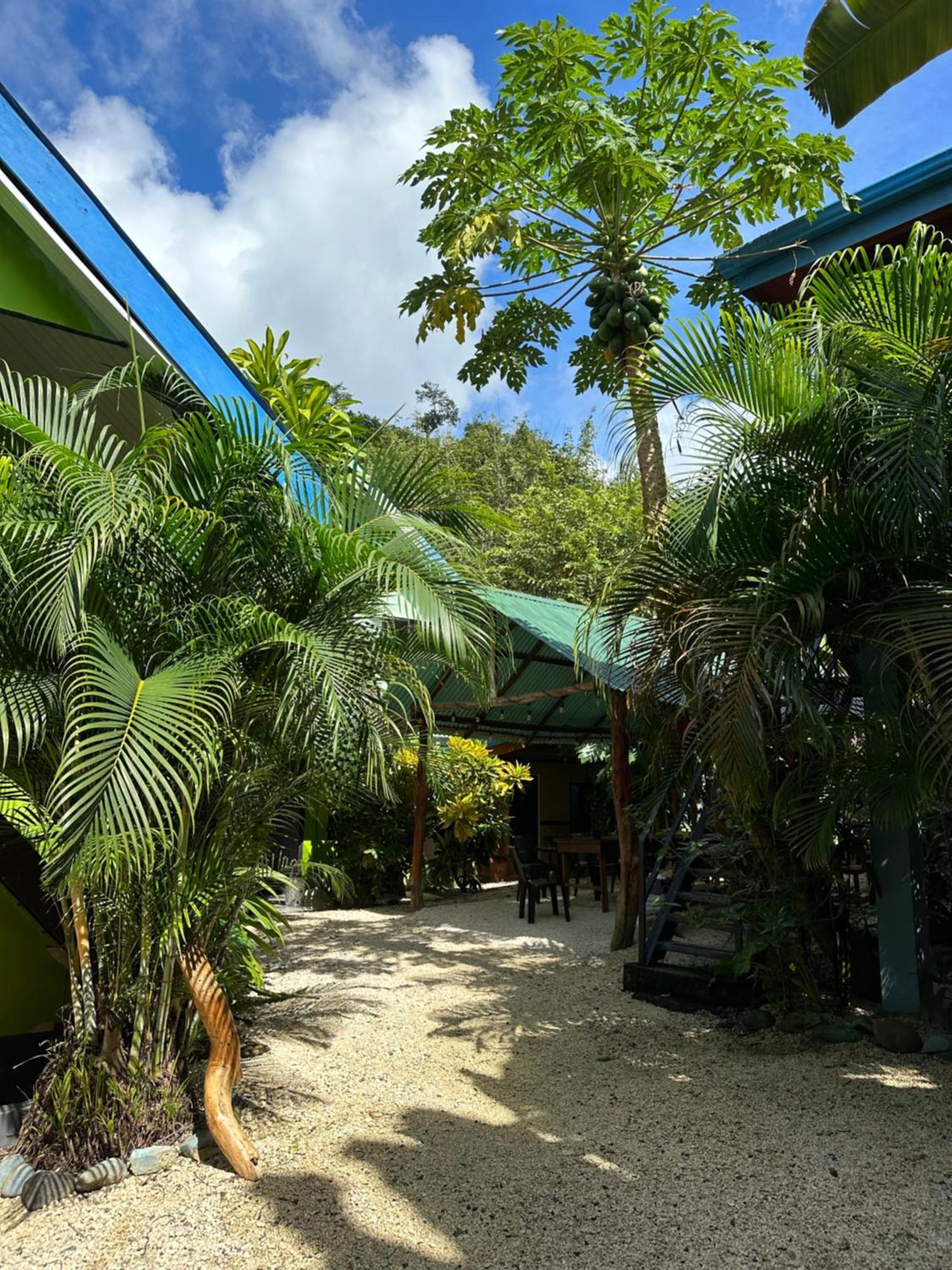 Surf Paradise Playa Santa Teresa  Exterior photo