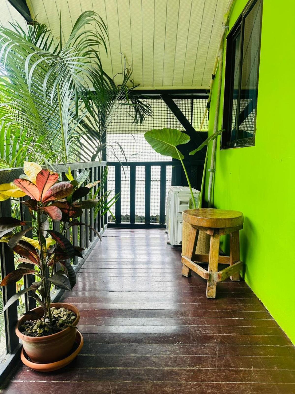 Surf Paradise Playa Santa Teresa  Exterior photo