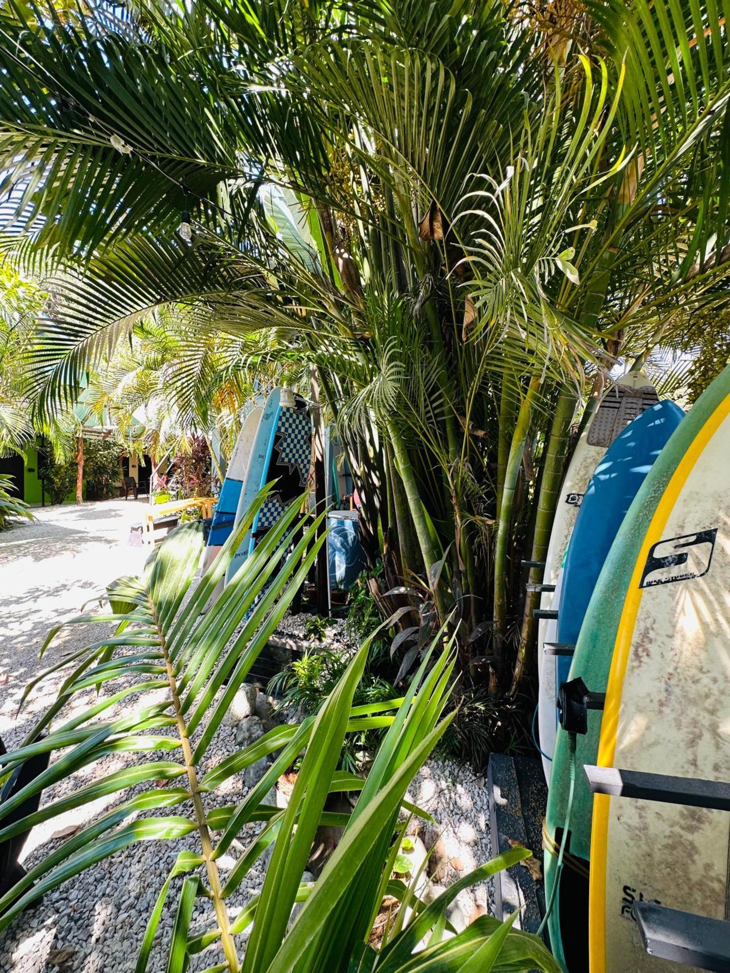Surf Paradise Playa Santa Teresa  Exterior photo