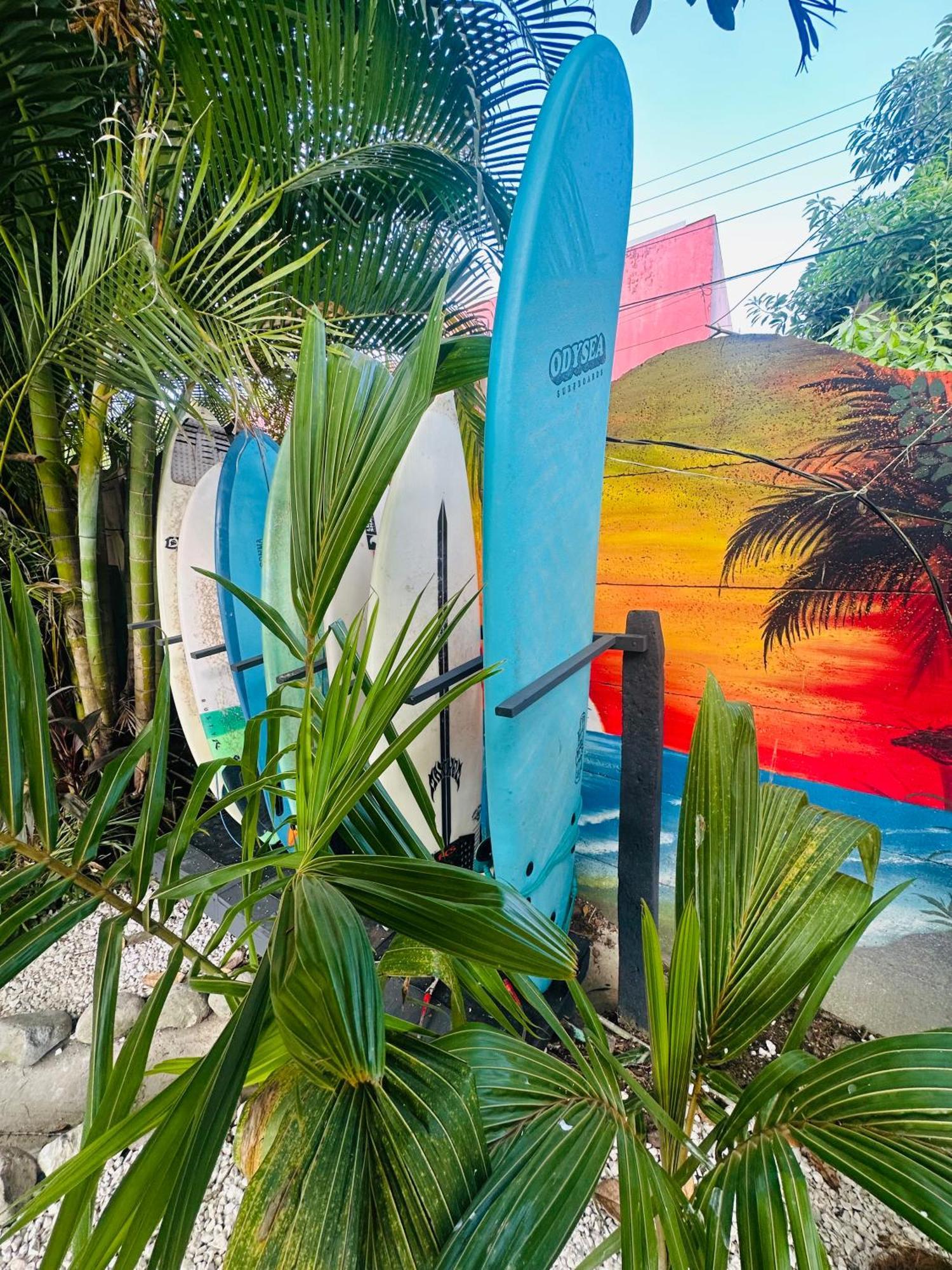 Surf Paradise Playa Santa Teresa  Exterior photo